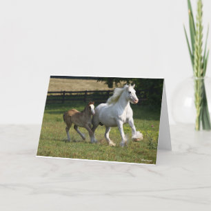 Bob Langrish   Sinti und Roma Vanner Horse Mare &  Karte