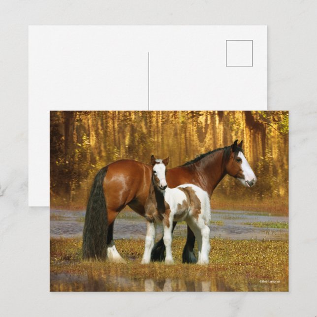 Bob Langrish | Sinti und Roma Vanner Mare and Foal Postkarte (Vorne/Hinten)