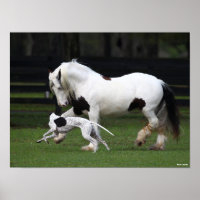 Bob Langrish Sinti und Roma Vanner und Hund laufen