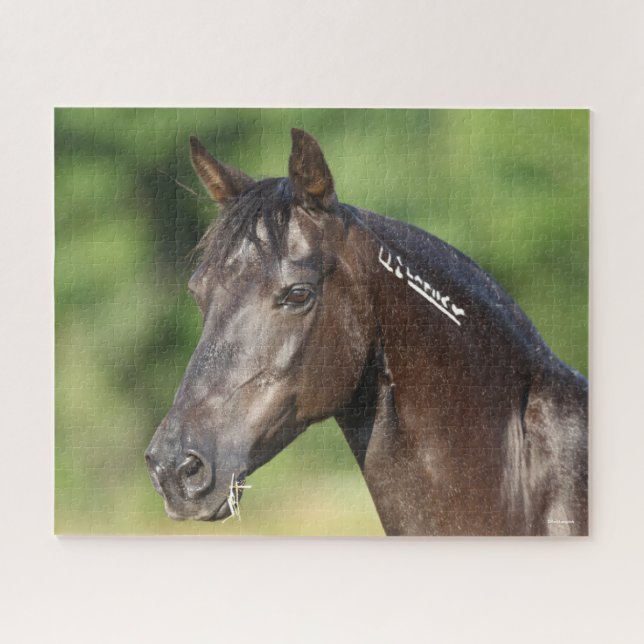 Bob Langrish | Spanish Mustang Mare Headshot Puzzle (Horizontal)