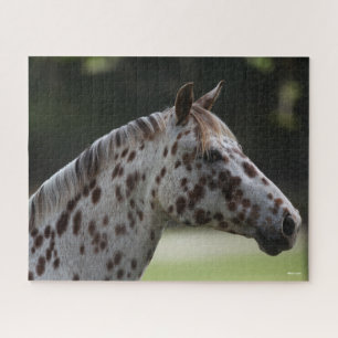 Bob Langrish Spotty Appaloosa Headshot Puzzle
