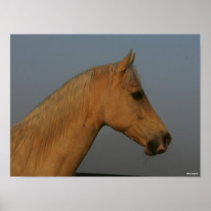 Bob Langrish   Tennessee Walker Mistball Headshot Poster