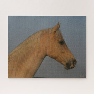 Bob Langrish Tennessee Walker Mistball Headshot Puzzle