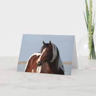 Bob Langrish Tobiano Paint Horse Stallion Headshot Karte
