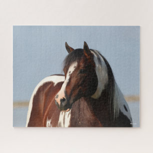 Bob Langrish Tobiano Paint Horse Stallion Headshot Puzzle