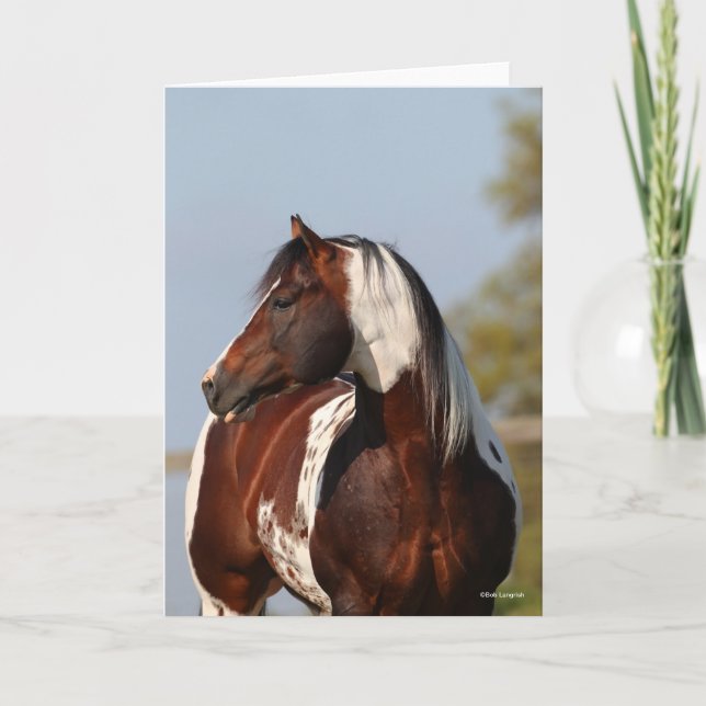 Bob Langrish | Tobiano Paint Stallion Headshot Karte (Vorderseite)