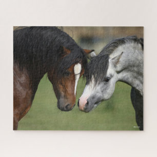 Bob Langrish   Two Welsh Ponies Meeting Puzzle
