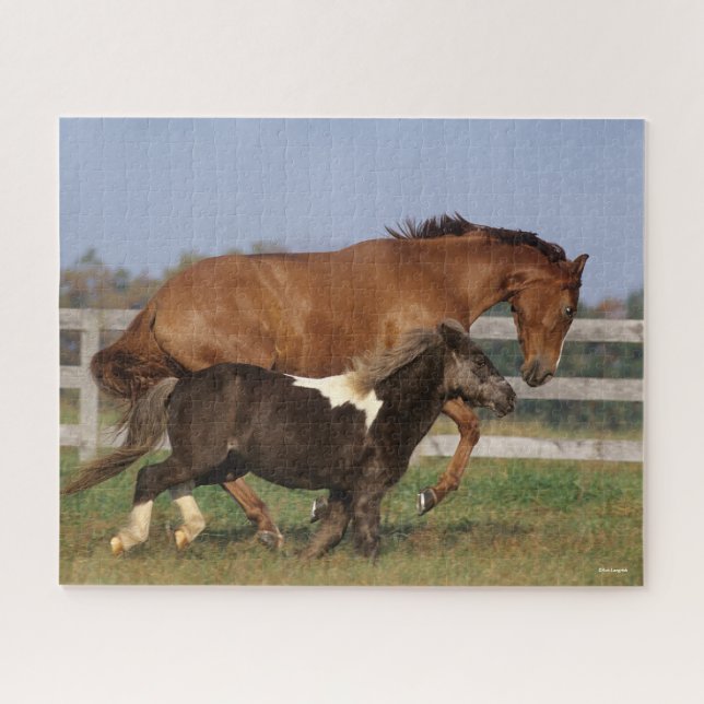 Bob Langrish | Vollblüter und Shetland Pony Puzzle (Horizontal)