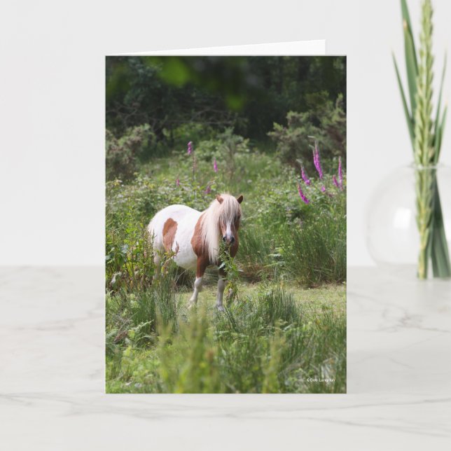 Bob Langrish | Von Blume Stehendes Shetland Pony Karte (Vorderseite)
