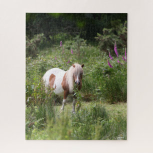 Bob Langrish   Von Blume Stehendes Shetland Pony Puzzle
