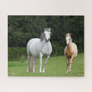 Bob Langrish   Walisische Pony Mare und Foal Puzzle