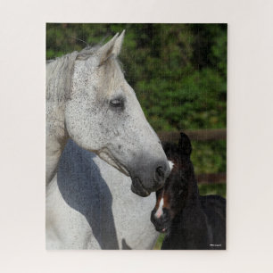 Bob Langrish   Warmblut-Mare- und Fotopapier Puzzle