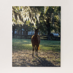 Bob Langrish   Warmblut Stehend Backlit Puzzle
