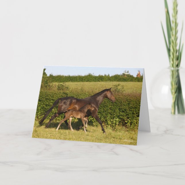 Bob Langrish | Warmblut und Foal Walking Karte (Vorderseite)