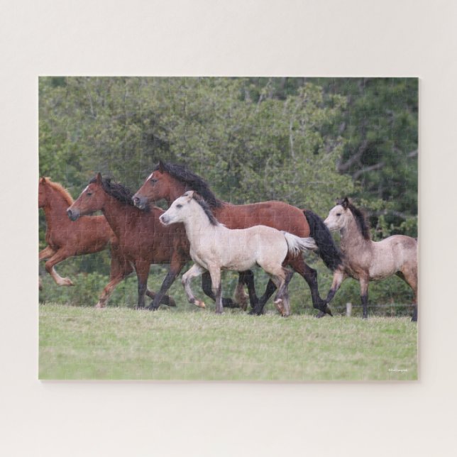 Bob Langrish Welsh Ponies Running Mares und Foals Puzzle (Horizontal)