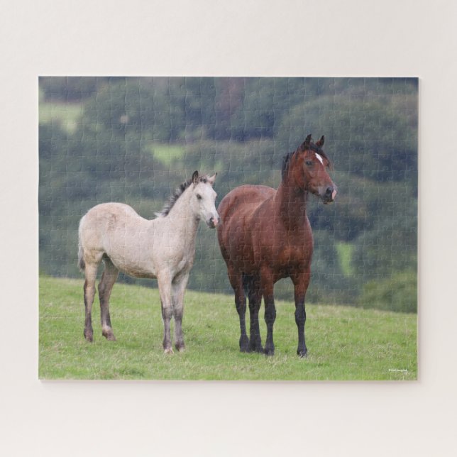 Bob Langrish | Welsh Pony Mare and Foal Stehend Puzzle (Horizontal)
