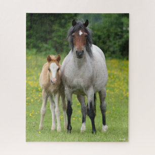 Bob Langrish   Welsh Pony Mare and Foal Stehend Puzzle