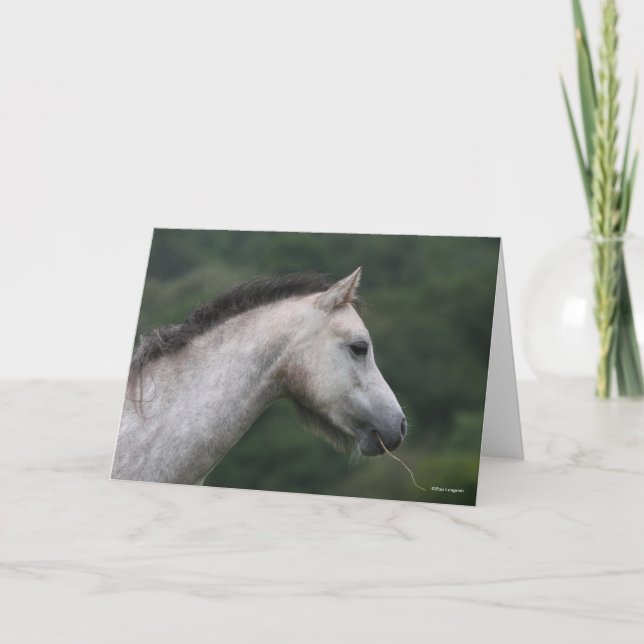 Bob Langrish | Welsh Section A Pony Headshot Karte (Vorderseite)