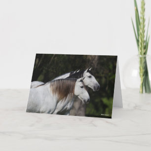 Bob Langrish Zwei Andalusier Stehend Karte