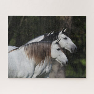 Bob Langrish Zwei Andalusier Stehend Puzzle