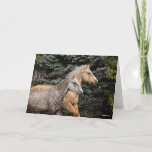 Bob Langrish   Zwei Bashkir Curses Headshot Karte