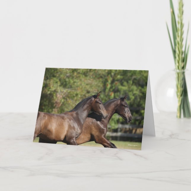 Bob Langrish | Zwei braune andalusische Pferde lau Karte (Vorderseite)