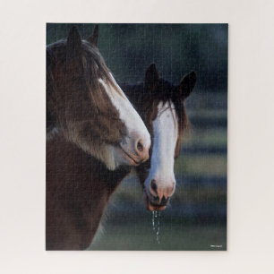 Bob Langrish   Zwei Clydesdale Pferde Headshot Puzzle
