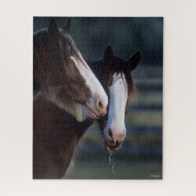 Bob Langrish | Zwei Clydesdale Pferde Headshot Puzzle (Vertikal)