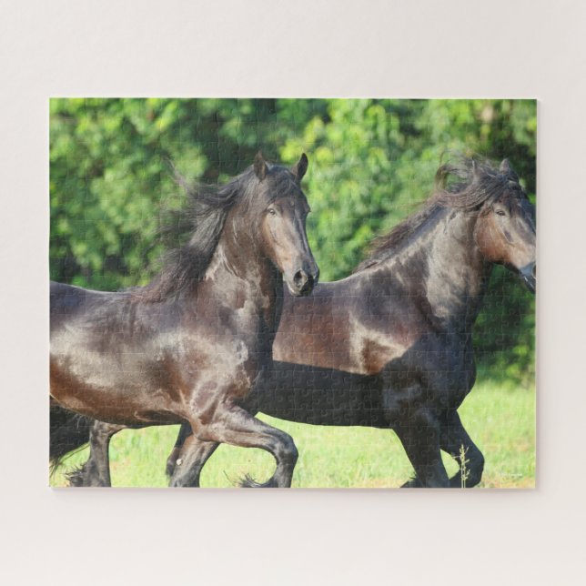 Bob Langrish | Zwei Friesianer laufen zusammen Puzzle (Horizontal)