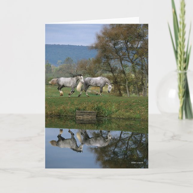 Bob Langrish | Zwei Gemeine Warmblüten am See Karte (Vorderseite)