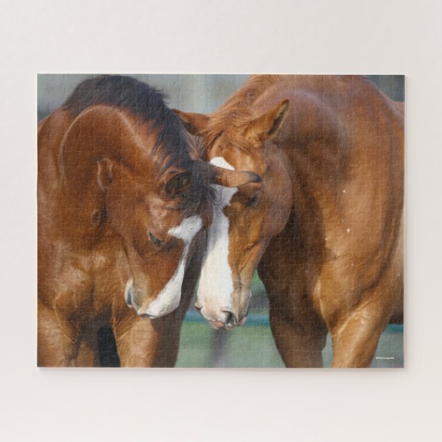 Bob Langrish | Zwei kanadische Sportpferde Puzzle (Horizontal)