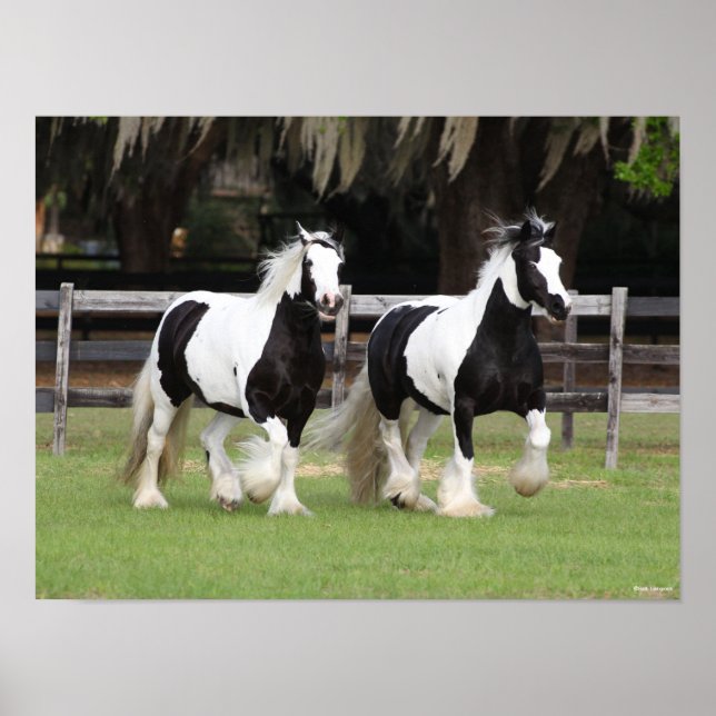 Bob Langrish | Zwei Schwarzweiß-Sinti und Roma-Van Poster (Vorne)