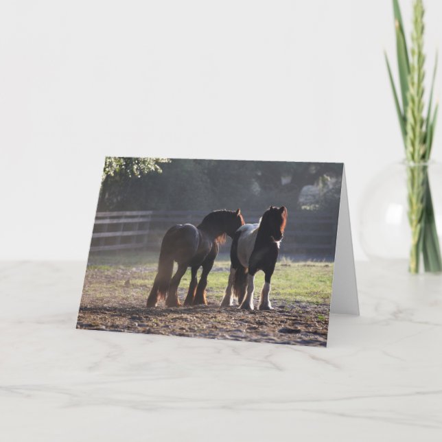 Bob Langrish | Zwei Sinti und Roma-Vanners im Feld Karte (Vorderseite)