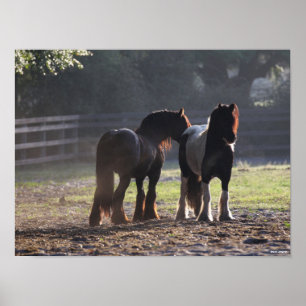 Bob Langrish   Zwei Sinti und Roma-Vanners im Feld Poster