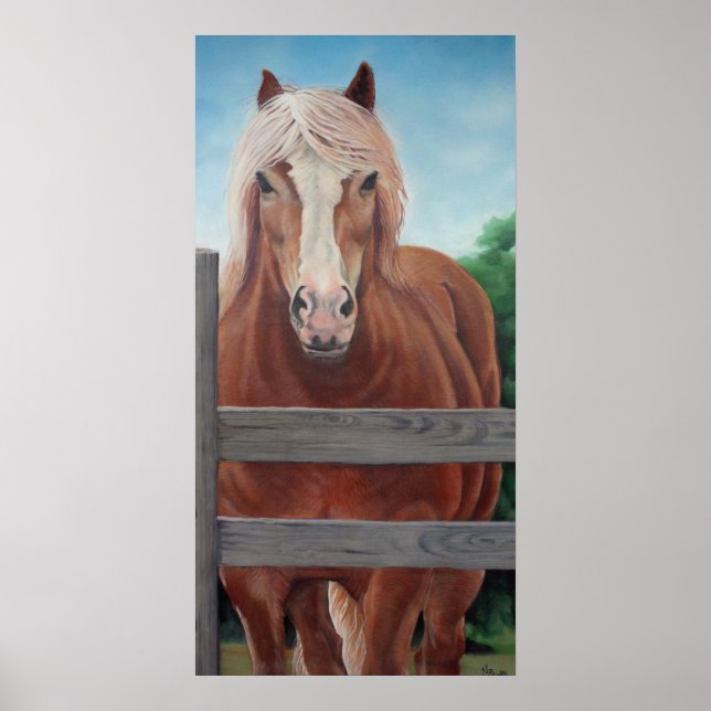 "Bob" Poster (Vorne)