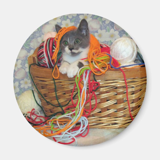 Bob Spinn'in a Yarn Magnet (Vorne)