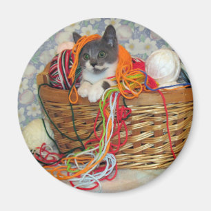Bob Spinn'in ein Garn-Magnet Magnet