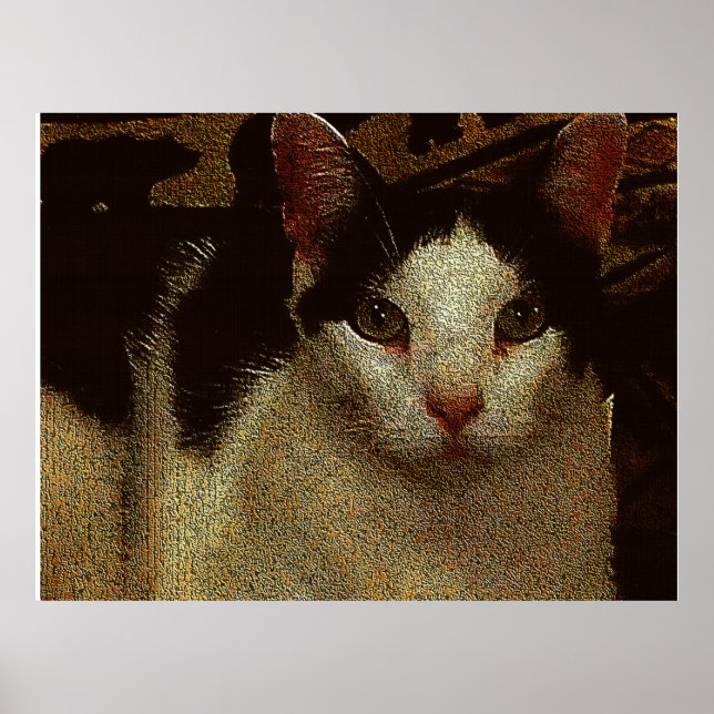 Bob the Serious Poster (Vorne)