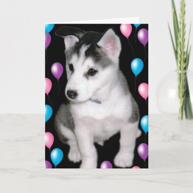 Bob und Ballone Karte (Vorderseite)