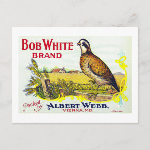 "Bob White Pumpkin Brand Canning Label"-Karte Postkarte