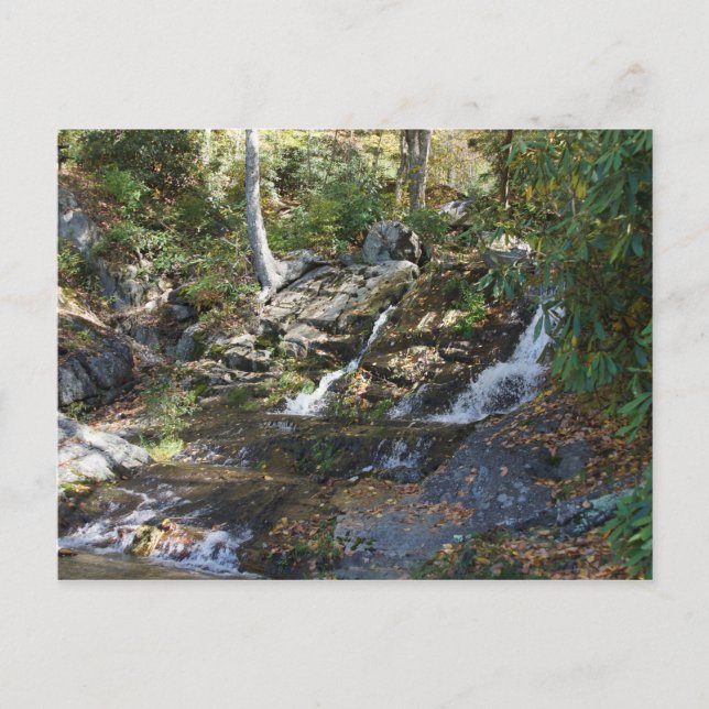 Bobby McLean Memorial Park #5, Newland, NC Postkarte (Vorderseite)