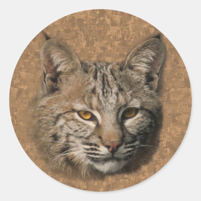 Bobcat Aufkleber (Vorderseite)