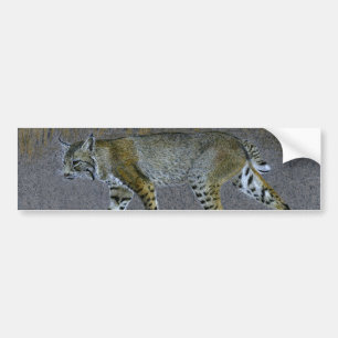 Bobcat Autoaufkleber