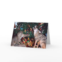 Bobcat Coyote Wild Animal Südwest Weihnachtskarte