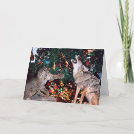 Bobcat Coyote Wild Animal Südwest Weihnachtskarte Feiertagskarte