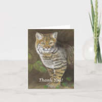 Bobcat
