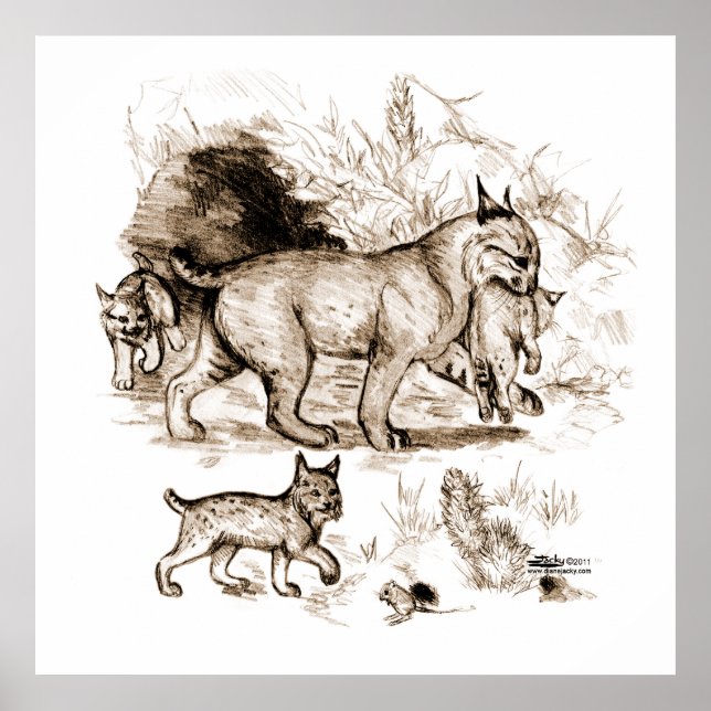 Bobcat Familie Poster (Vorne)