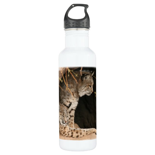 Bobcat-Foto Edelstahlflasche (Vorderseite)