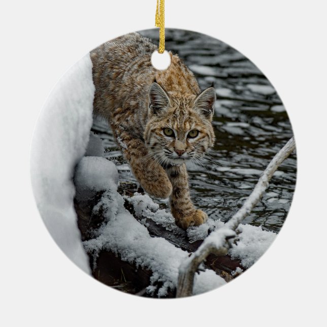 Bobcat Foto Keramik Ornament (Hinten)
