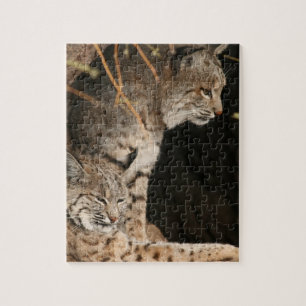 Bobcat-Foto-Puzzlespiel Puzzle